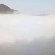 0撸项目交流
