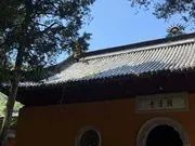 抖音评论一单15