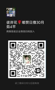 抖音短剧推广月入过万 - 群二维码